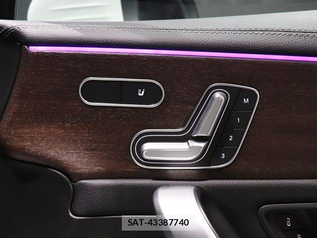Mercedes Benz A-CLASS 2020-02 8880688-25