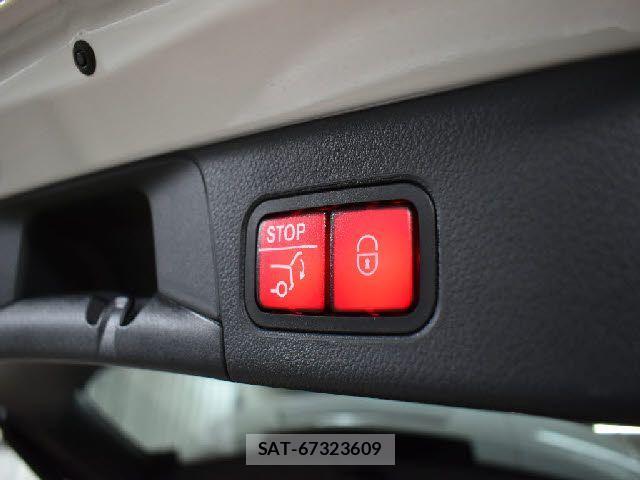 Mercedes Benz B-CLASS 2019-08 3934792-19