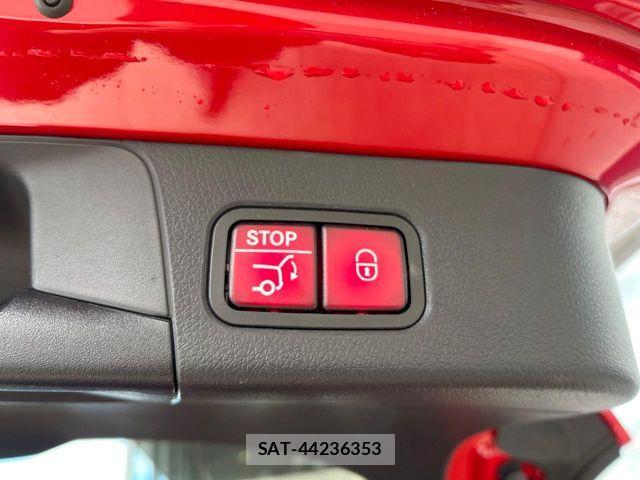 Mercedes Benz B-CLASS 2019-08 7221502-6