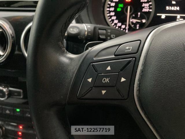 Mercedes Benz B-CLASS 2013-07 8743770-15