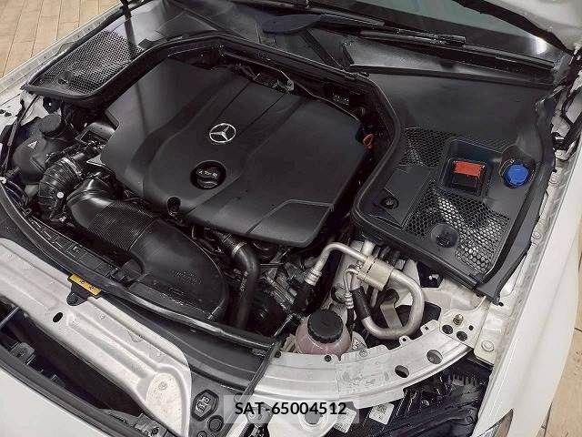 Mercedes Benz C-CLASS 2018-01 7216149-13