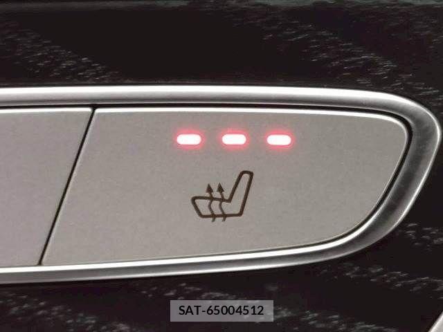 Mercedes Benz C-CLASS 2018-01 7216149-7