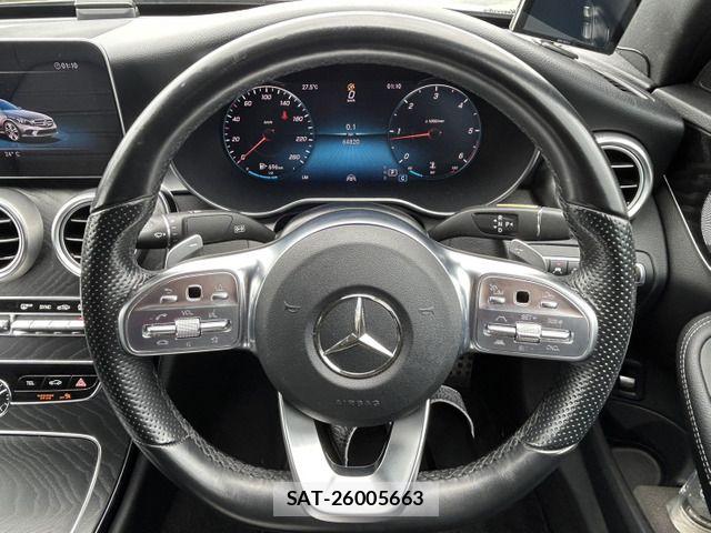 Mercedes Benz C-CLASS 2019-07 7725481-10