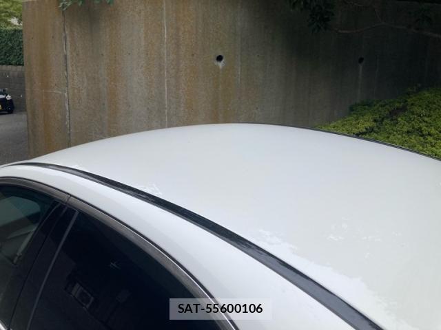 Mercedes Benz C-CLASS 2015-09 8336706-26