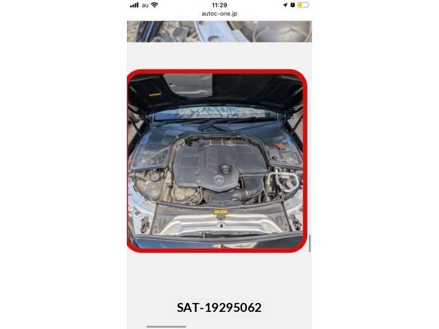 Mercedes Benz C-CLASS 2019-06 8336707-6