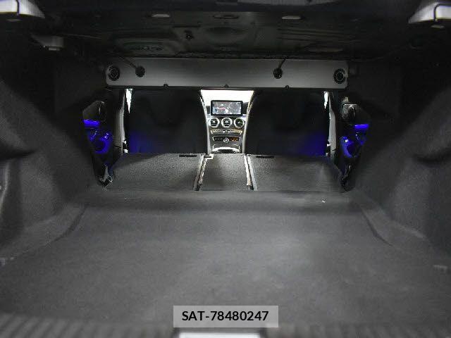 Mercedes Benz C-CLASS 2019-06 6676804-19