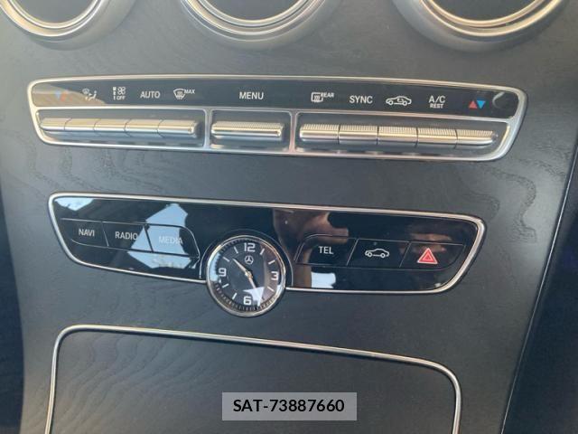 Mercedes Benz C-CLASS 2019-03 7902925-17