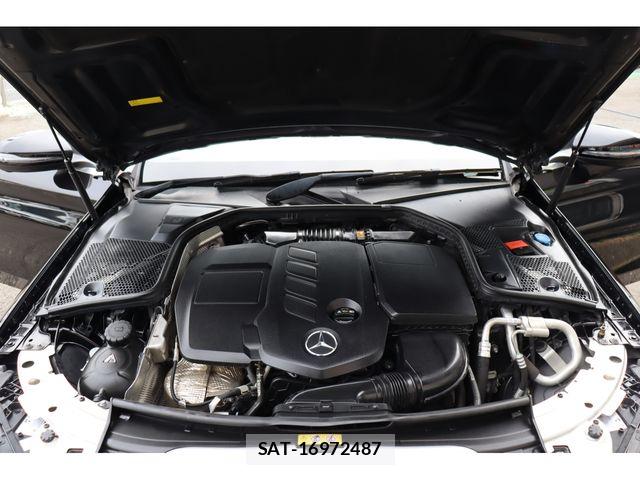 Mercedes Benz C-CLASS 2019-01 6613137-27