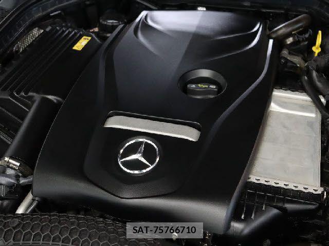 Mercedes Benz C-CLASS 2017-06 7455676-5