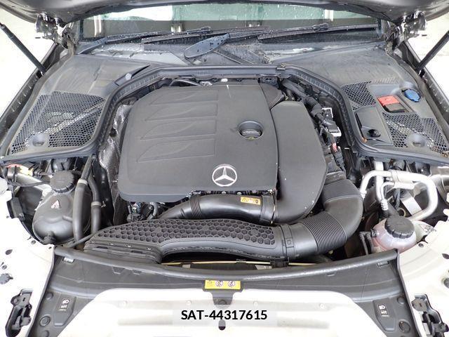 Mercedes Benz C-CLASS 2019-03 4176190-24