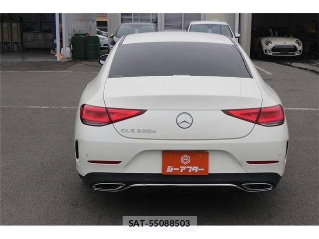 Mercedes Benz CLS-CLASS 2019-03 4045167-3