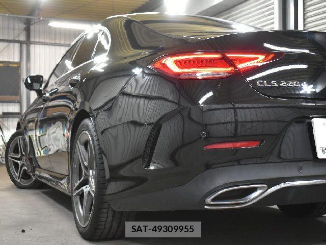 Mercedes Benz CLS-CLASS 2018-08 4596254-22