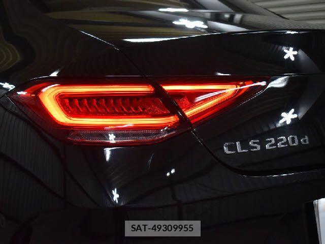 Mercedes Benz CLS-CLASS 2018-08 4596254-26