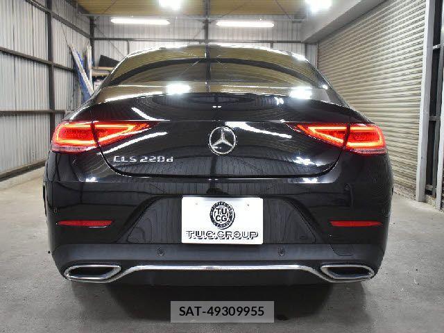 Mercedes Benz CLS-CLASS 2018-08 4596254-28