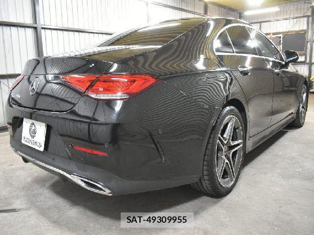 Mercedes Benz CLS-CLASS 2018-08 4596254-2
