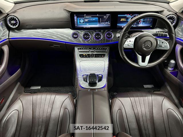 Mercedes Benz CLS-CLASS 2019-05 6613152-10