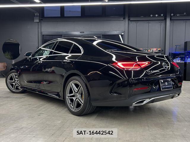 Mercedes Benz CLS-CLASS 2019-05 6613152-4