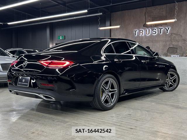 Mercedes Benz CLS-CLASS 2019-05 6613152-6