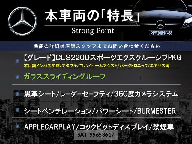 Mercedes Benz CLS-CLASS 2019-04 7328286-2
