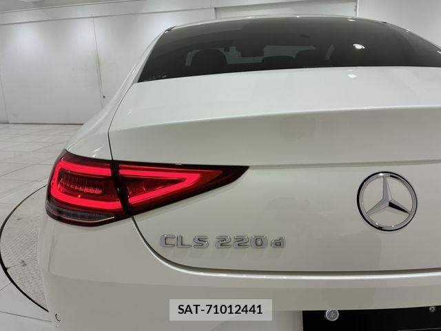 Mercedes Benz CLS-CLASS 2018-10 7617981-16