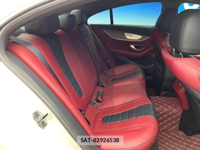 Mercedes Benz CLS-CLASS 2019-04 8100365-9