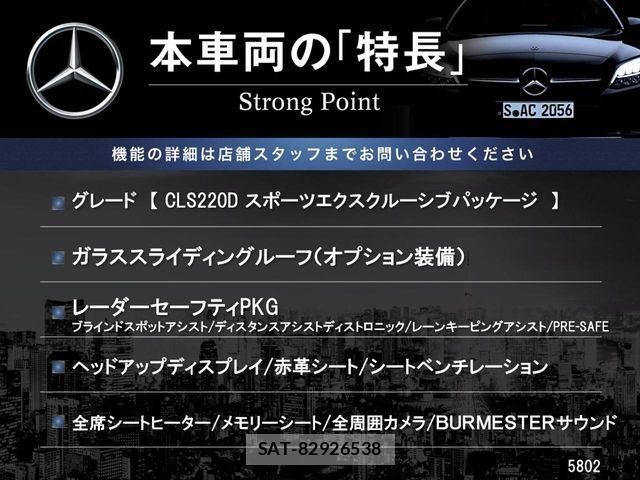 Mercedes Benz CLS-CLASS 2019-04 8100365-2