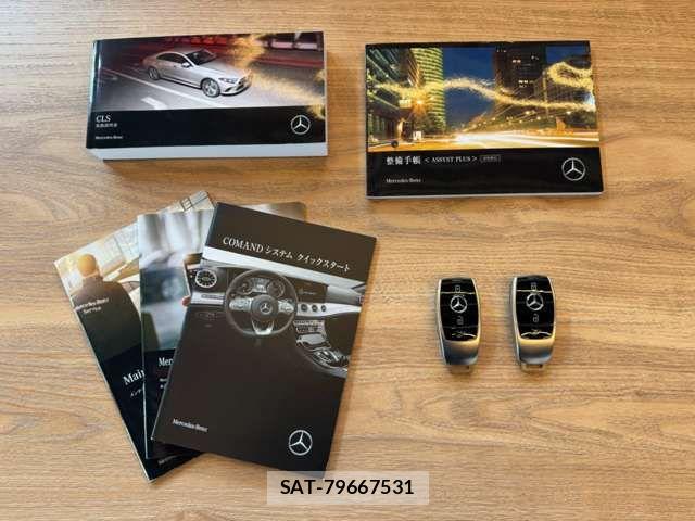 Mercedes Benz CLS-CLASS 2020-09 8131170-14