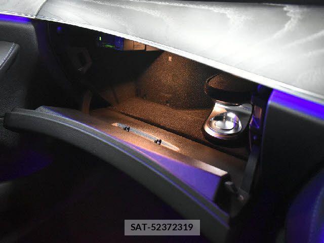 Mercedes Benz CLS-CLASS 2019-03 3907511-13