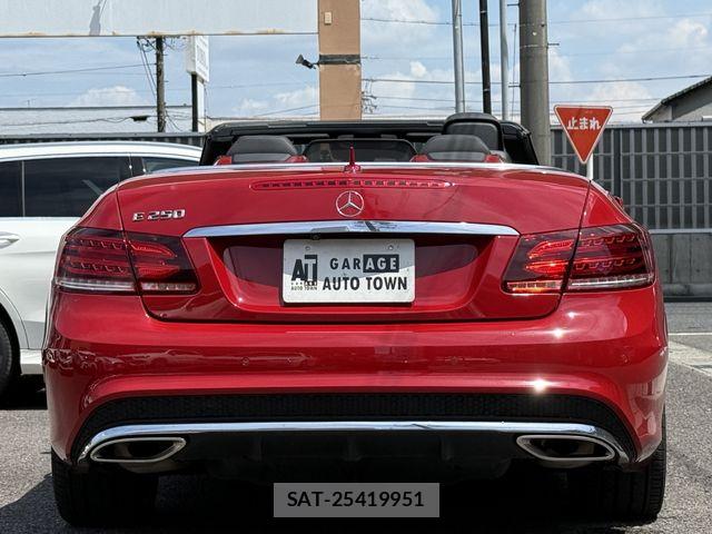 Mercedes Benz E-CLASS 2016-06 8525705-13