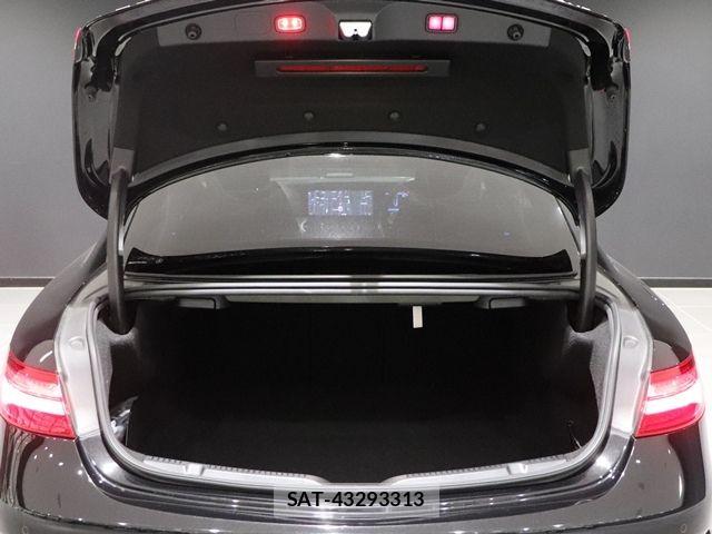 Mercedes Benz E-CLASS 2019-06 7455703-16