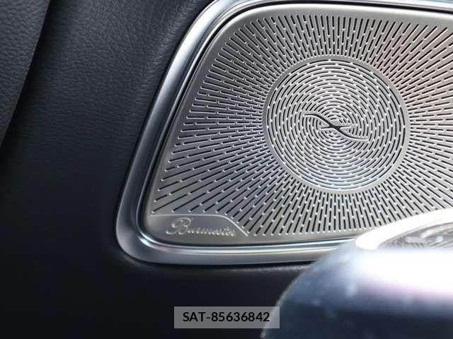 Mercedes Benz E-CLASS 2024-11 4596283-13