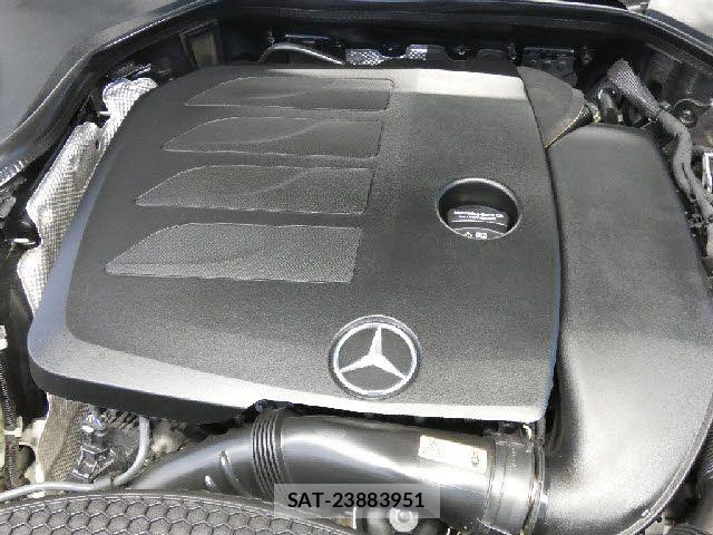 Mercedes Benz E-CLASS 2020-11 6500087-5