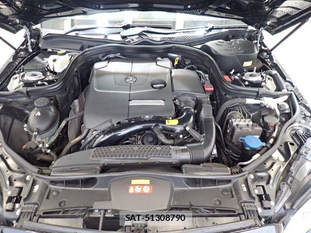 Mercedes Benz E-CLASS 2013-09 7272304-26