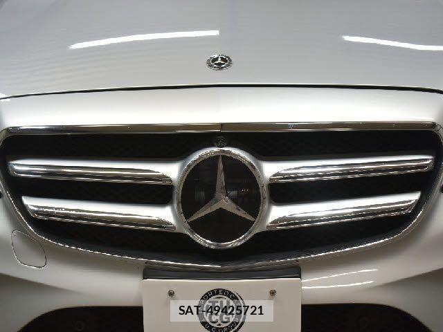 Mercedes Benz E-CLASS 2018-04 7328290-25