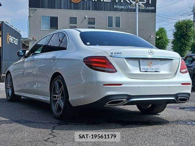 Mercedes Benz E-CLASS 2017-06 8100376-18