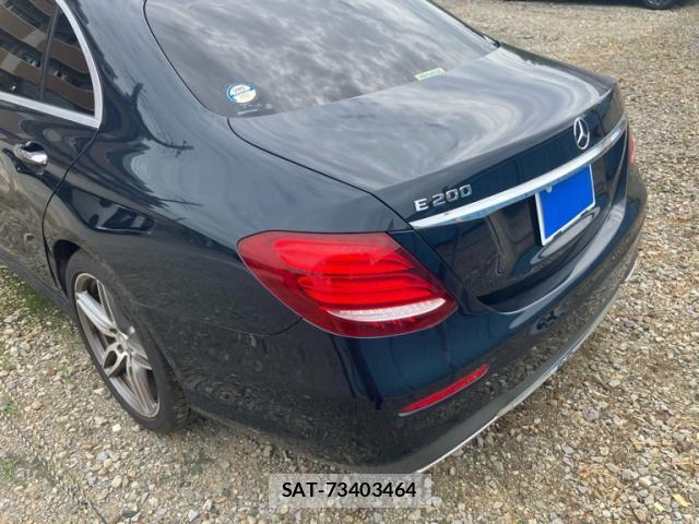 Mercedes Benz E-CLASS 2016-07 8743851-2