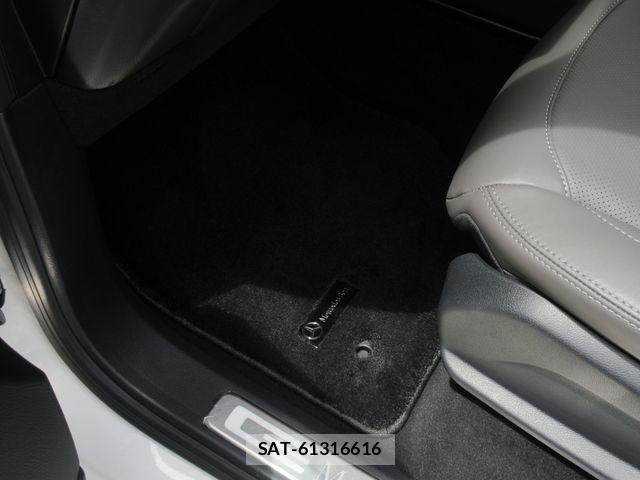 Mercedes Benz G-CLASS 2025-03 6613184-17