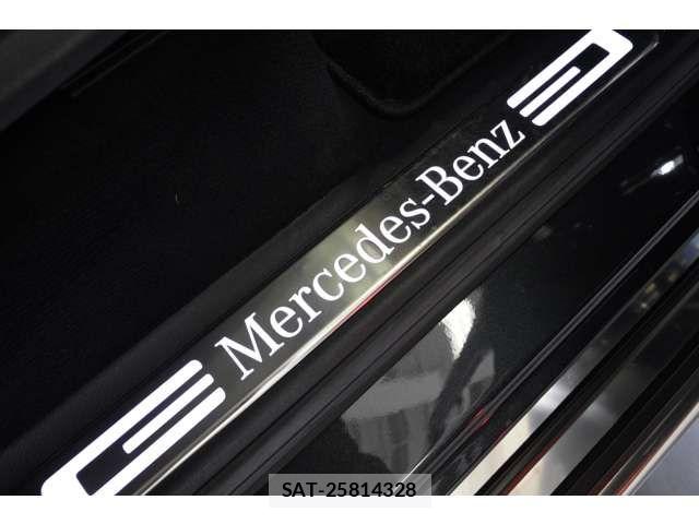 Mercedes Benz G-CLASS 2020-11 7020874-15