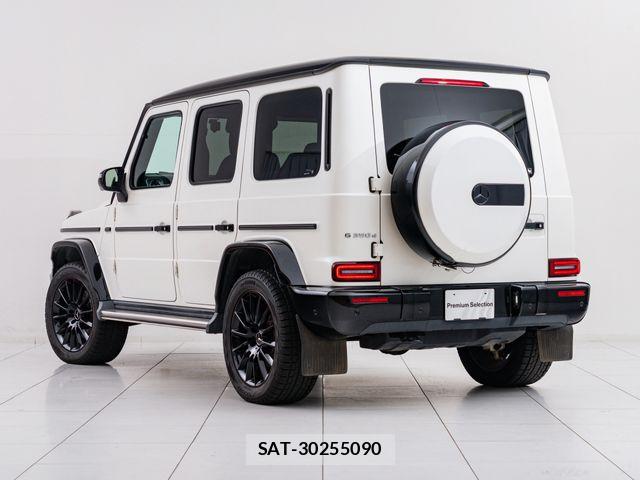 Mercedes Benz G-CLASS 2020-08 7501462-7
