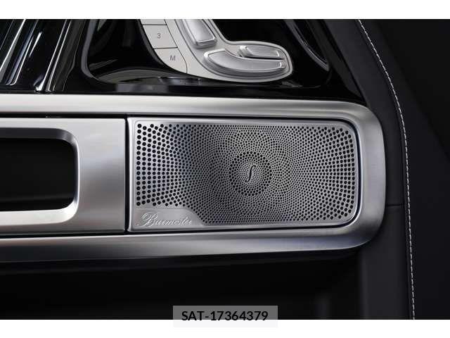 Mercedes Benz G-CLASS 2025-06 7725558-8