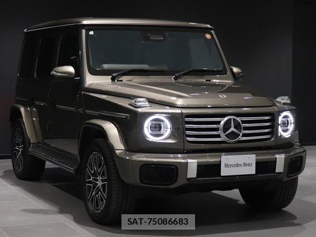 Mercedes Benz G-CLASS 2025-02 8315398-9