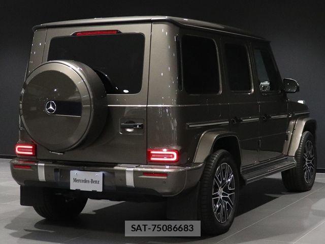 Mercedes Benz G-CLASS 2025-02 8315398-13