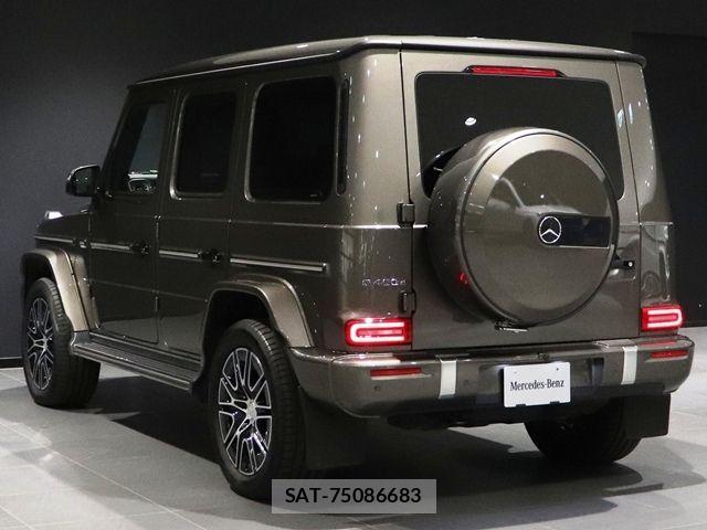 Mercedes Benz G-CLASS 2025-02 8315398-15