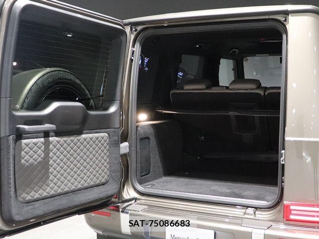 Mercedes Benz G-CLASS 2025-02 8315398-17