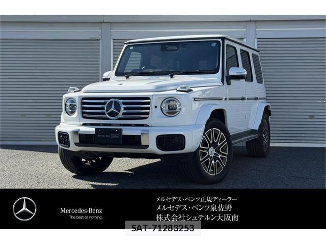 Mercedes Benz G-CLASS 2025-01 8627666-0
