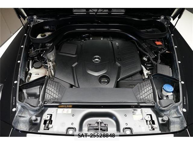 Mercedes Benz G-CLASS 2019-10 8830259-19
