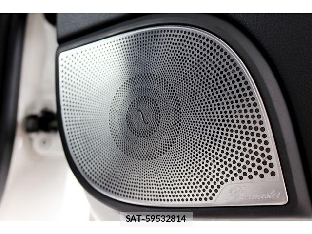 Mercedes Benz G-CLASS 2019-09 8830258-19