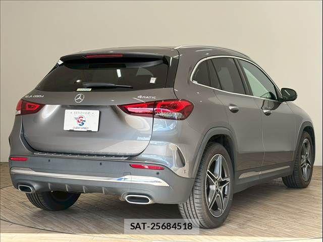Mercedes Benz GLA-CLASS 2020-08 1744809-15