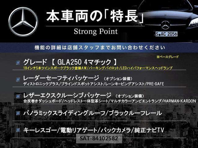 Mercedes Benz GLA-CLASS 2019-04 6613197-2
