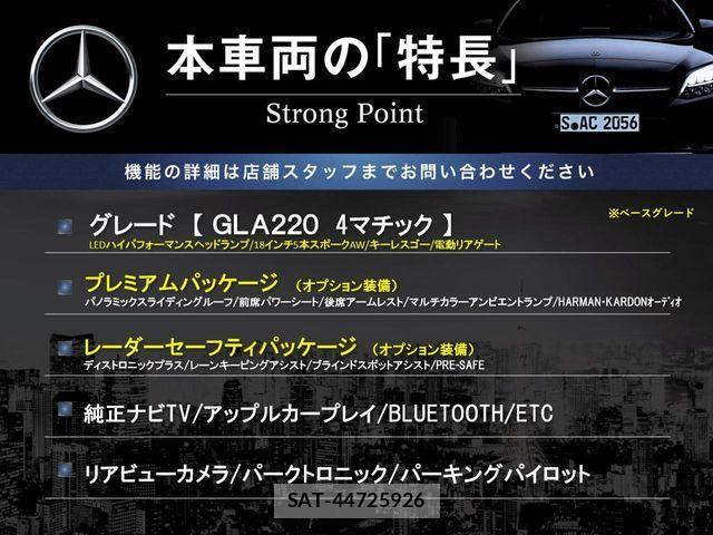 Mercedes Benz GLA-CLASS 2019-01 8627673-2